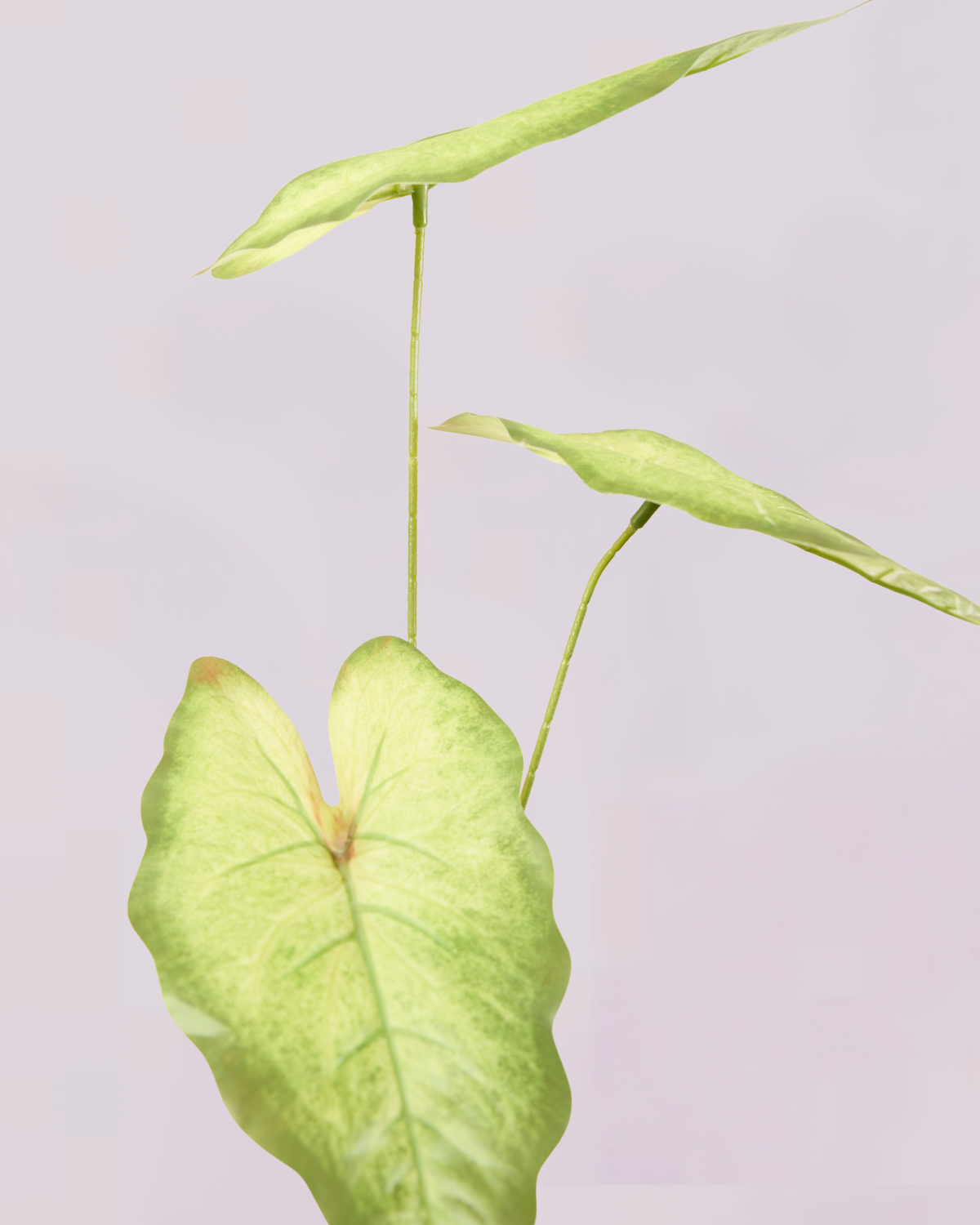 VAREGATED GREEN LEAF TRIO STEM