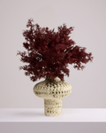 WHAT THE FLUFF IN BURGUNDY