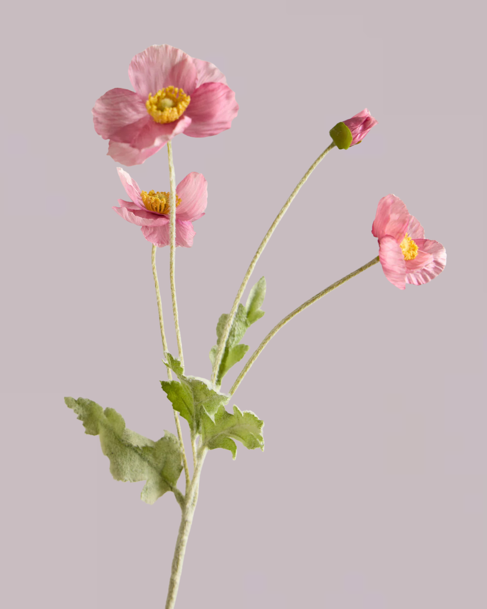 SILK POPPY IN LIGHT PINK