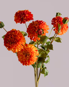 DAHLIA IN ORANGE (XL HEAD)