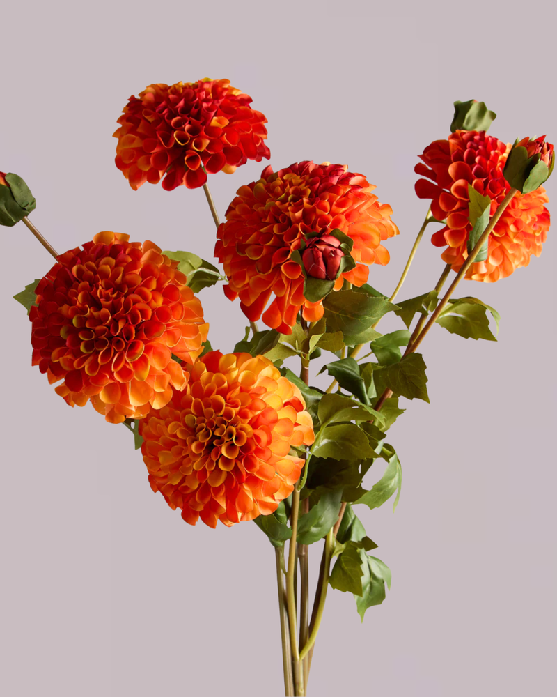DAHLIA IN ORANGE (XL HEAD)