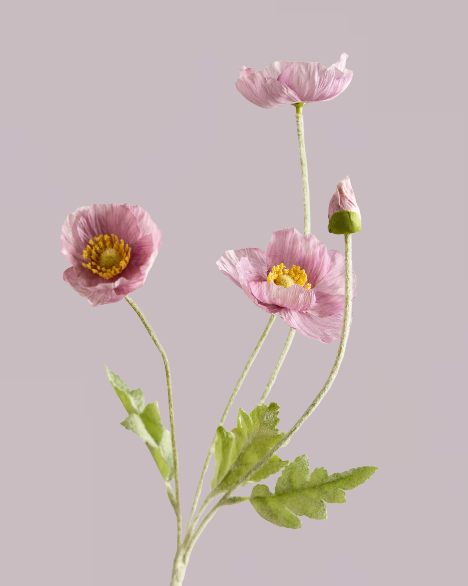 SILK POPPY IN DUSTY PURPLE