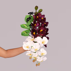 MULBERRY
