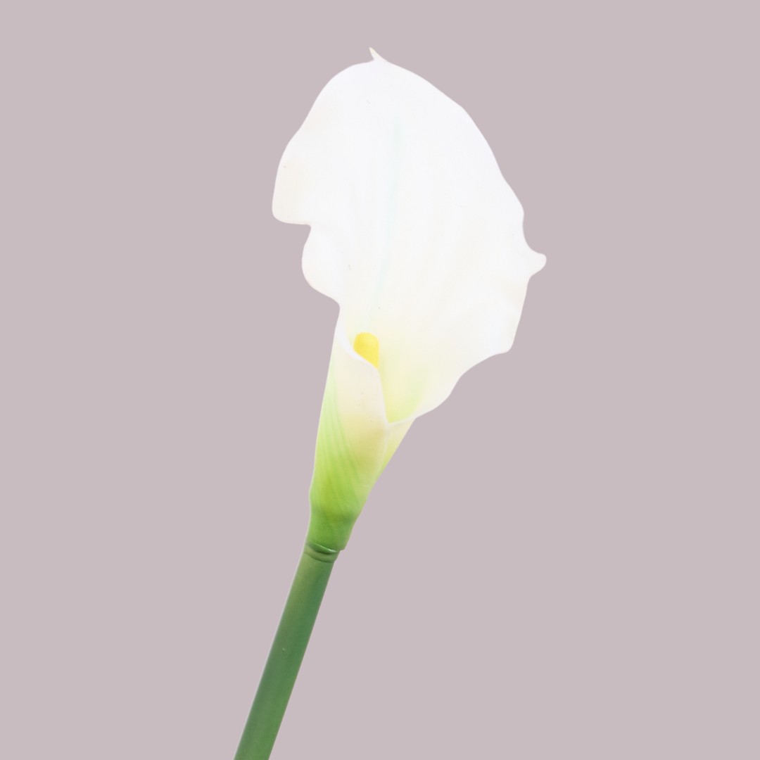 CALLA LILY IN WHITE (SMALL)