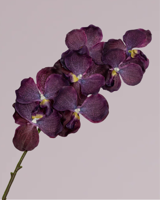 ABSOLUTE LUXURY REAL TOUCH ORCHIDS IN MAUVE