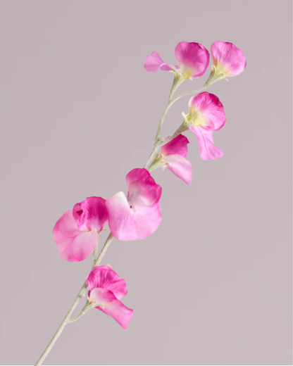 DELICATE SWEETPEA SPRAY IN HOT PINK