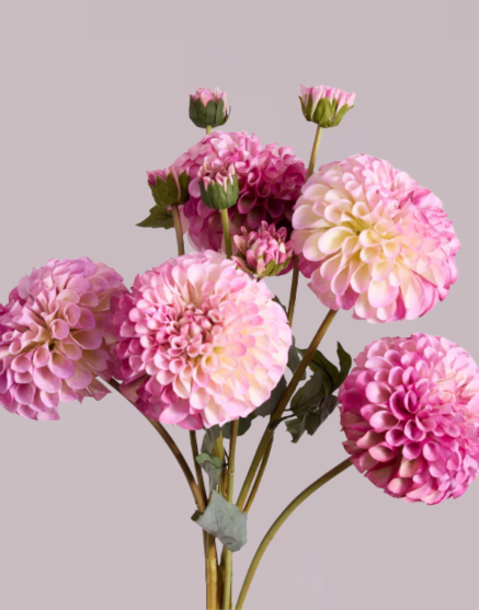 DAHLIA IN PURPLE (XL HEAD)