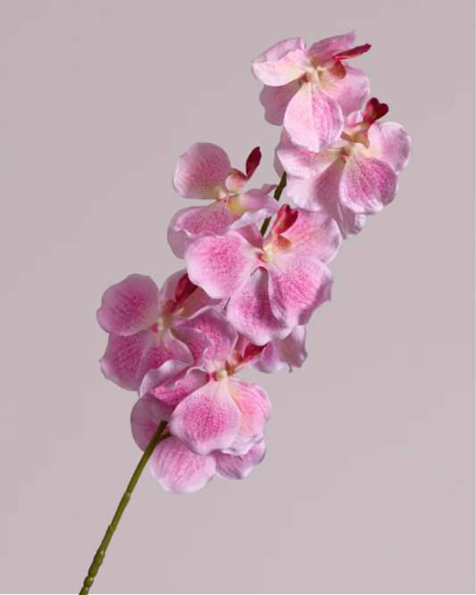 LARGE PINK SILK ORCHID