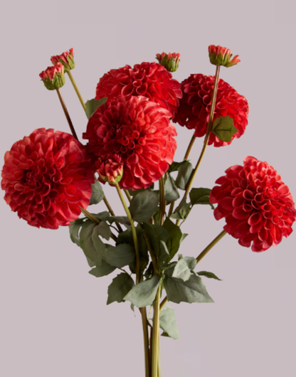 DAHLIA IN RED (XL HEAD)