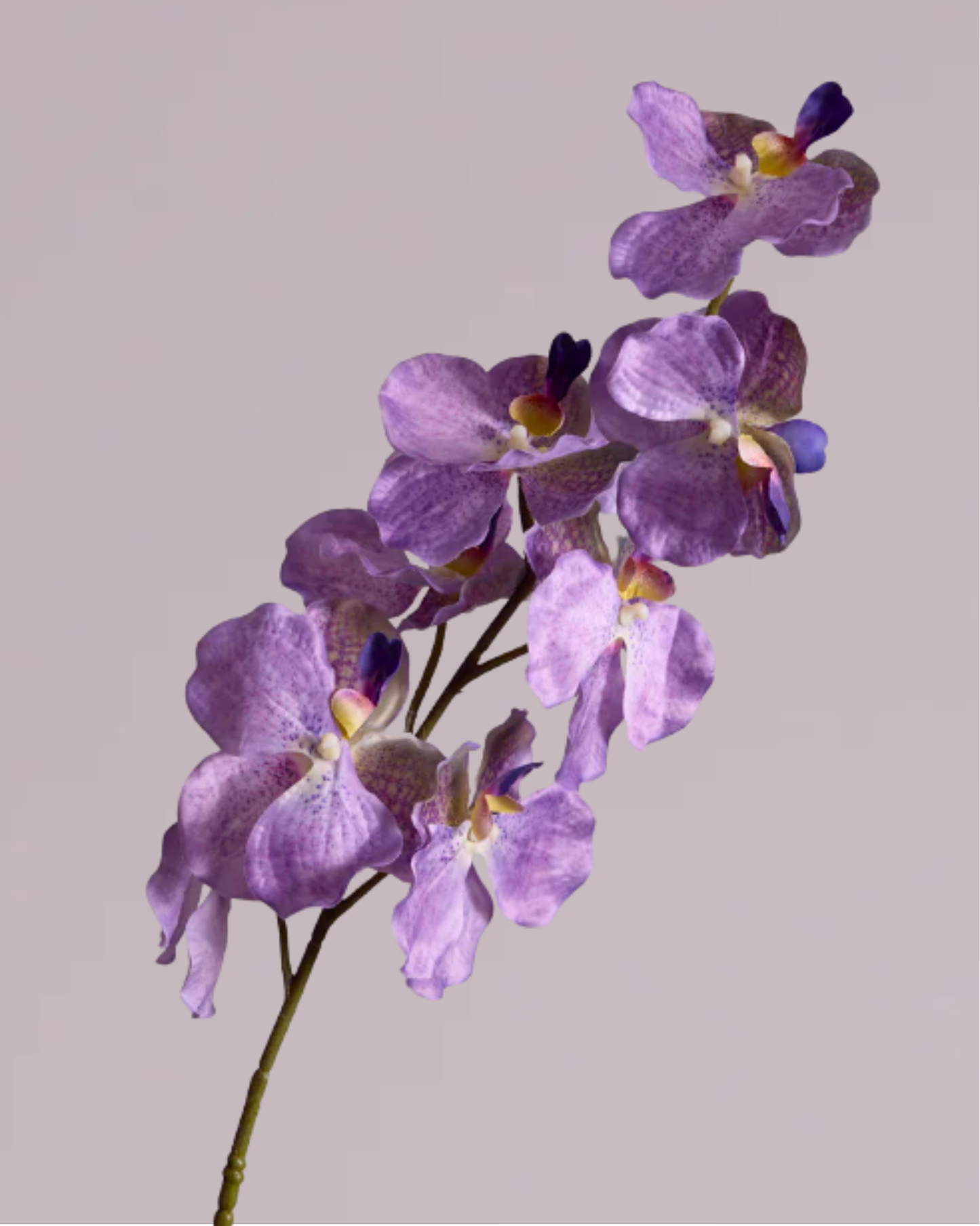 LARGE DUSTY PURPLE SILK ORCHID