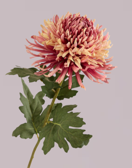 DUSTY PURPLE CHRYSANTHEMUM
