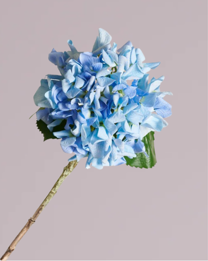 ABSOLUTE LUXURY REAL TOUCH HYDRANGEA IN BLUE