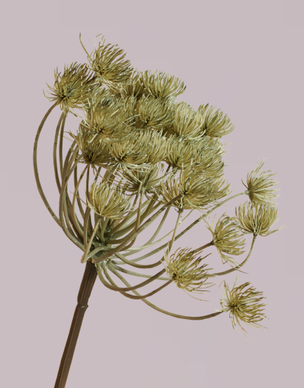 HOGWEED SPRAY GREEN / GREY