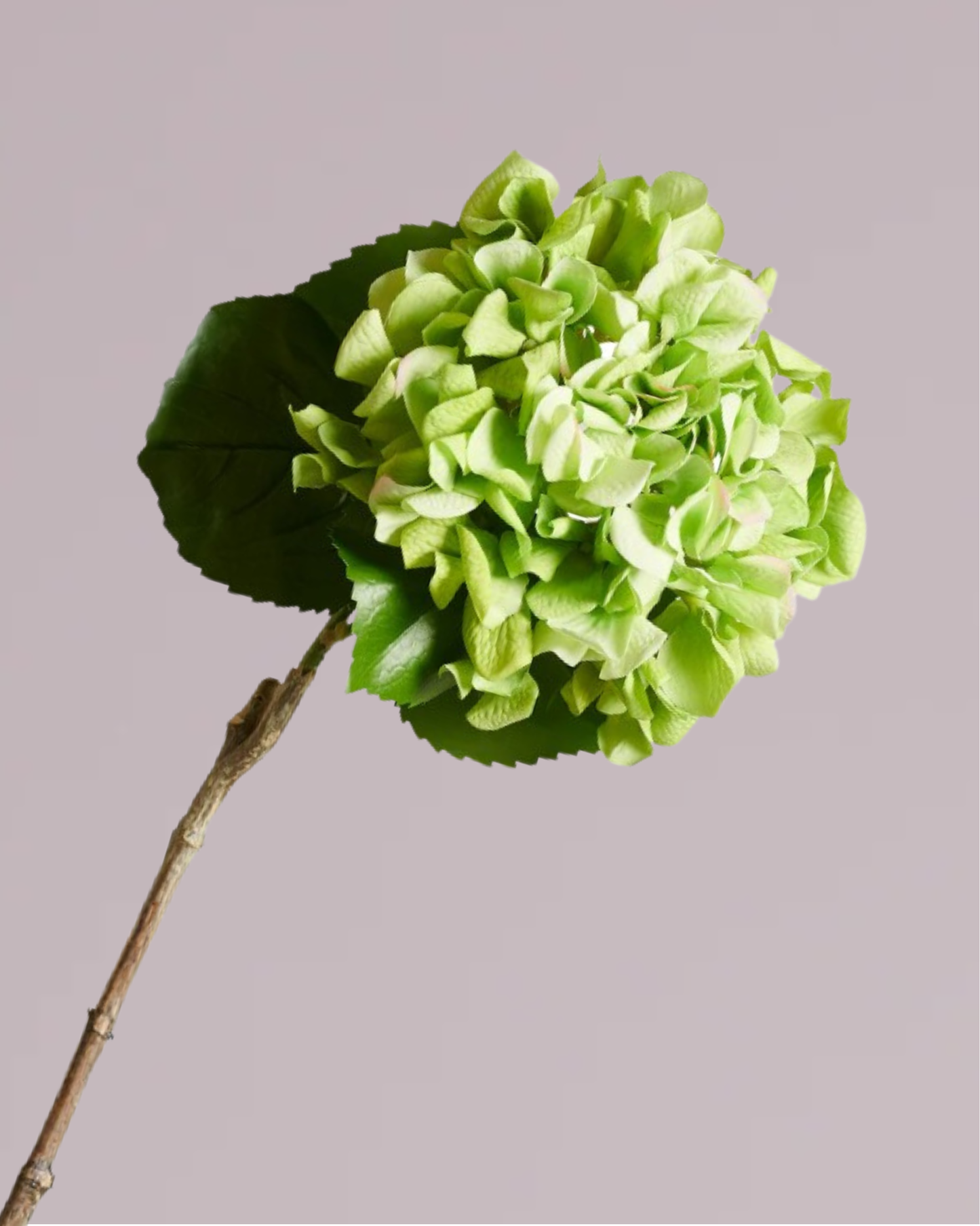 ABSOLUTE LUXURY REAL TOUCH HYDRANGEA IN GREEN