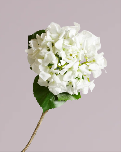 ABSOLUTE LUXURY REAL TOUCH HYDRANGEA IN WHITE