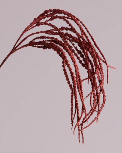 AMARANTHUS SPRAY IN BURGUNDY