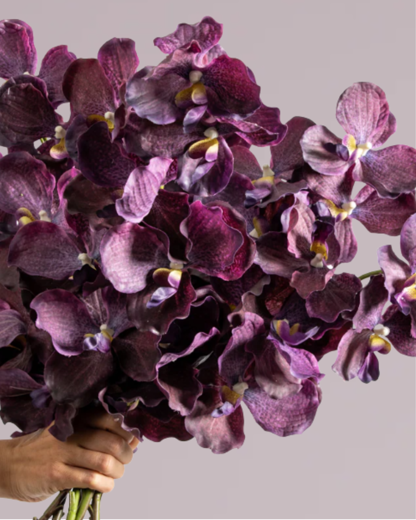 ABSOLUTE LUXURY REAL TOUCH ORCHIDS IN MAUVE