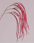 AMARANTHUS SPRAY IN RED