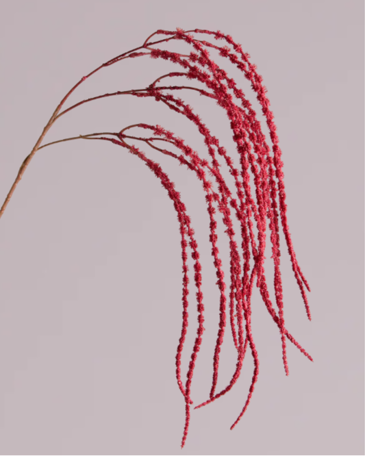 AMARANTHUS SPRAY IN RED