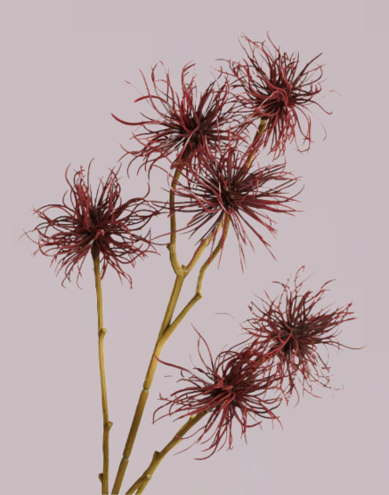 WHAT A PRICK BURGUNDY