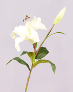 REAL TOUCH LILY IN WHITE