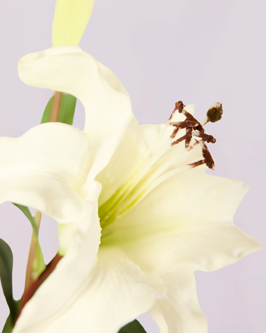 REAL TOUCH LILY IN WHITE