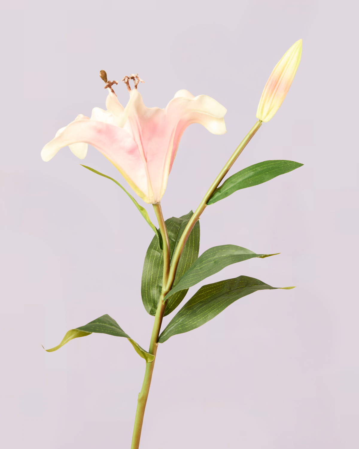 REAL TOUCH LILY IN PINK