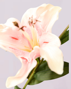 REAL TOUCH LILY IN PINK