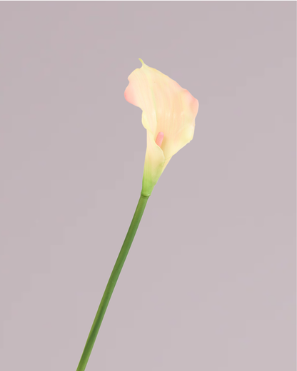 SMALL REAL TOUCH CALLA LILY IN DUSTY PINK