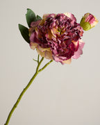 VINTAGE PEONY MERLOT