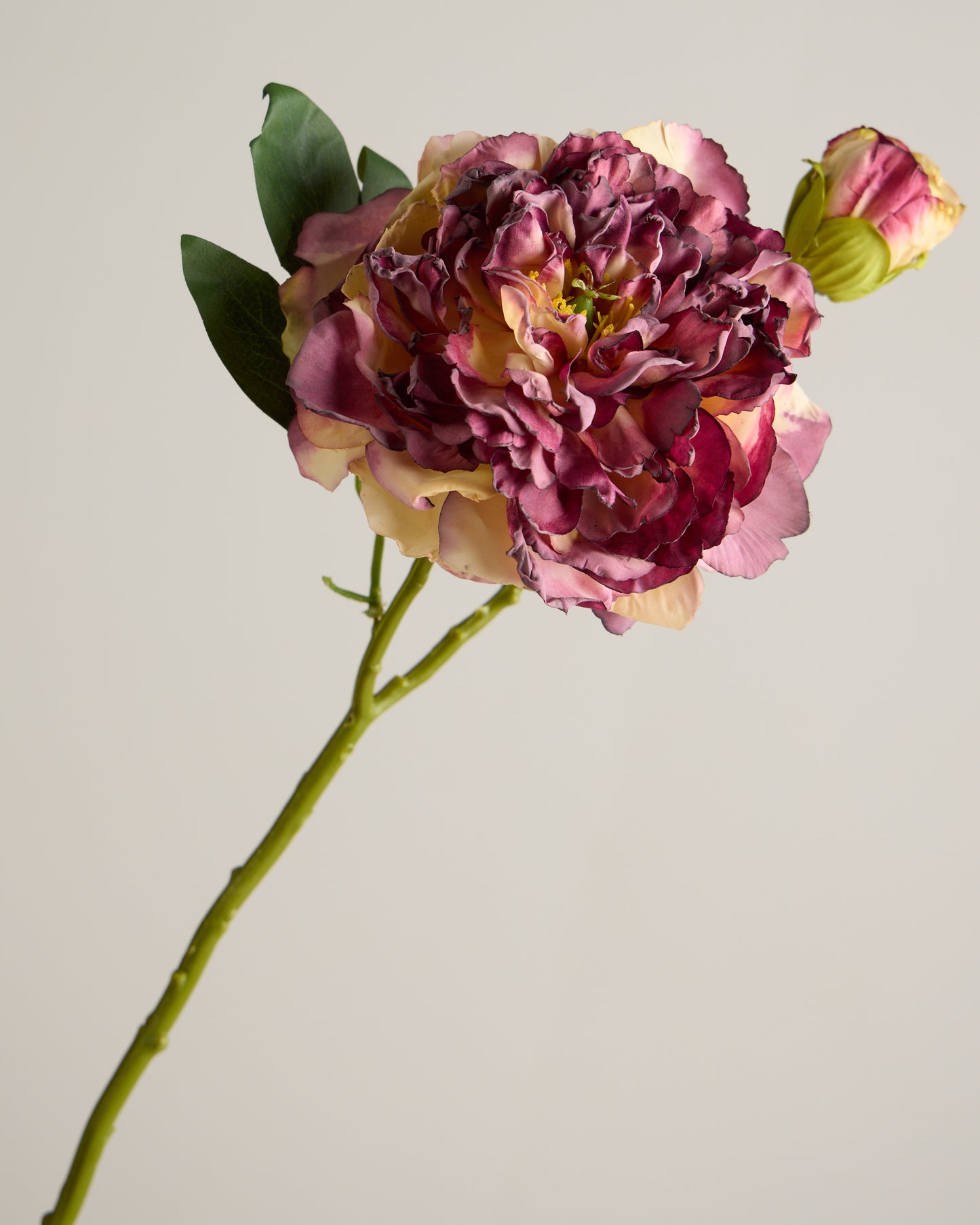 LUXURY REAL TOUCH VINTAGE PEONY MERLOT