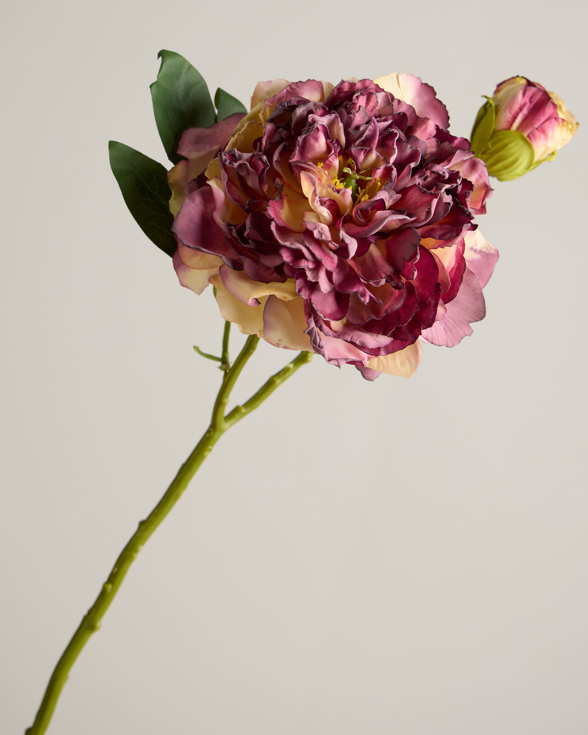 VINTAGE PEONY MERLOT