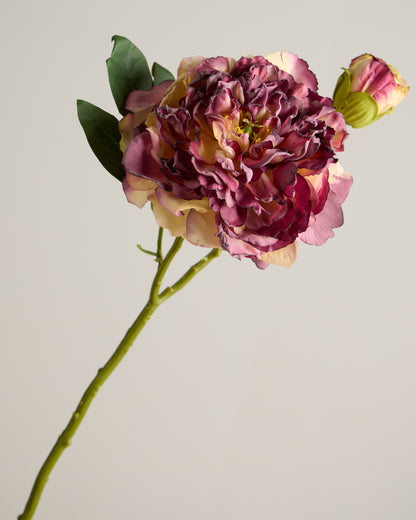 LUXURY REAL TOUCH VINTAGE PEONY MERLOT