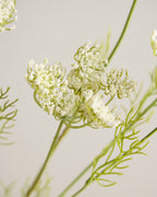 White Queen Annes Lace Spray
