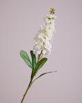 DELPHINIUM IN WHITE