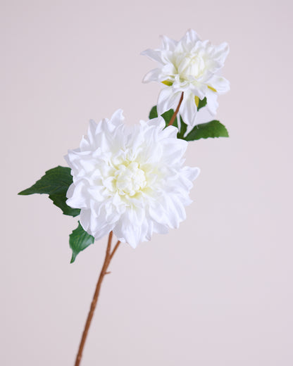 White Real Touch Dahlia