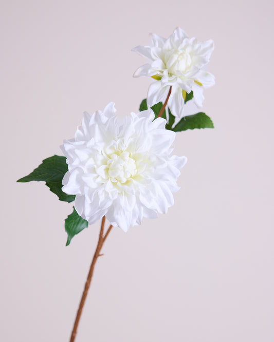 White Real Touch Dahlia