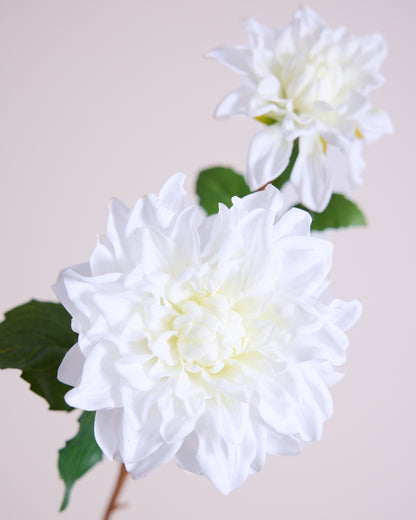 White Real Touch Dahlia