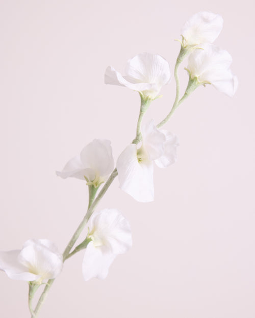 DELICATE SWEETPEA SPRAY IN WHITE