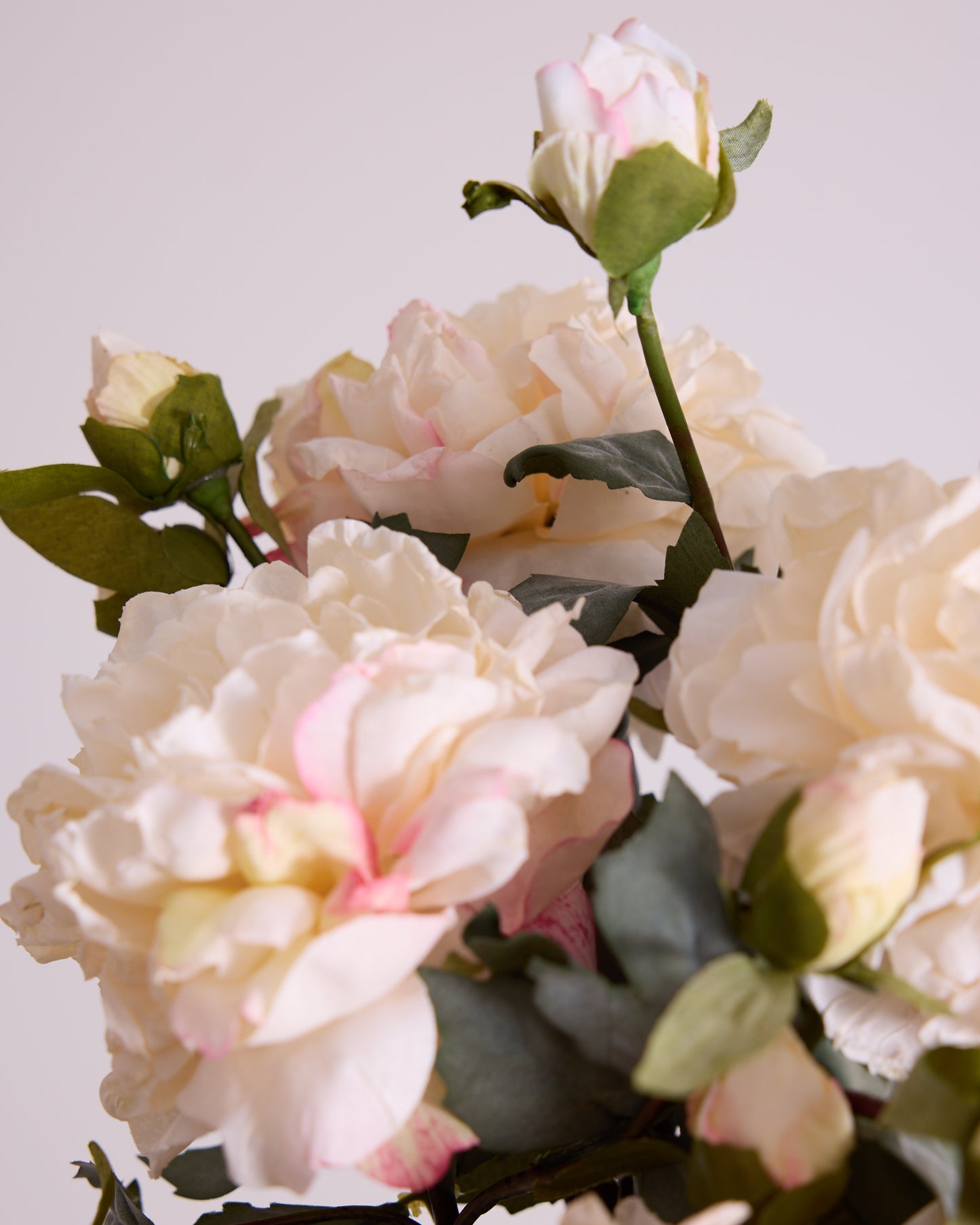 VINTAGE ROSE IN CREAM