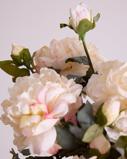 VINTAGE ROSE IN CREAM