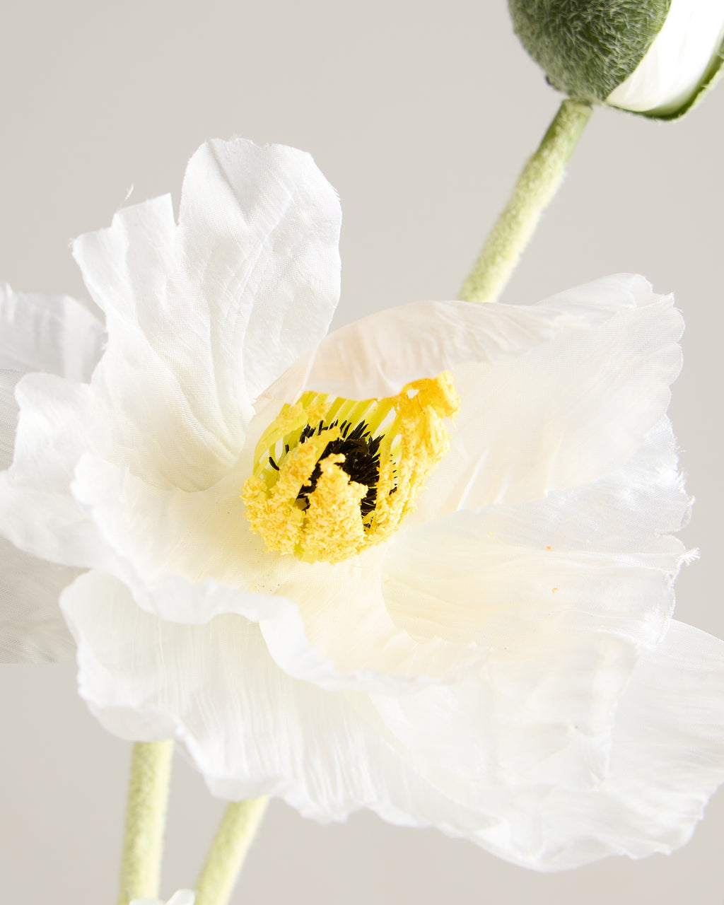 XL DAISY IN WHITE