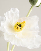 XL DAISY IN WHITE