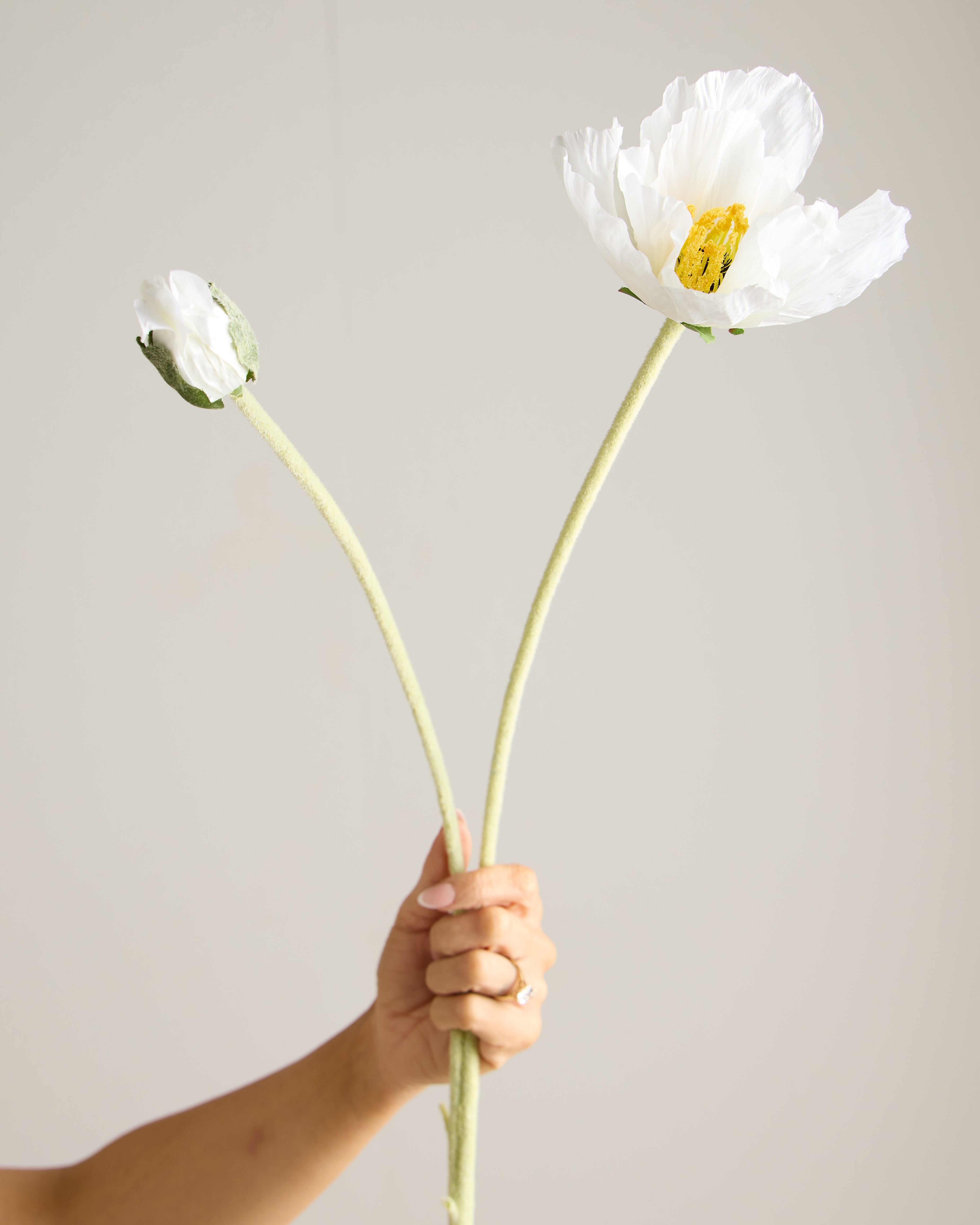 XL DAISY IN WHITE