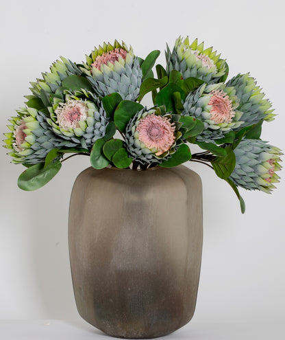 XL PROTEA