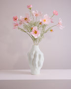 COSMOS IN BLUSH