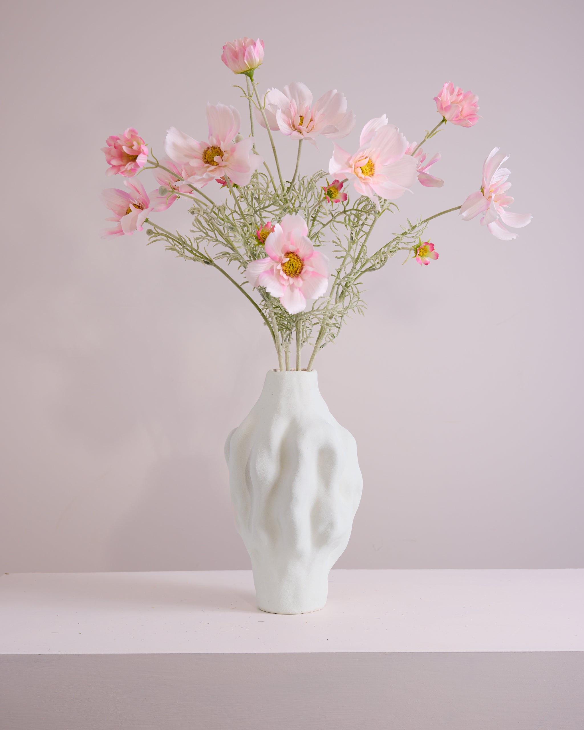 COSMOS IN BLUSH
