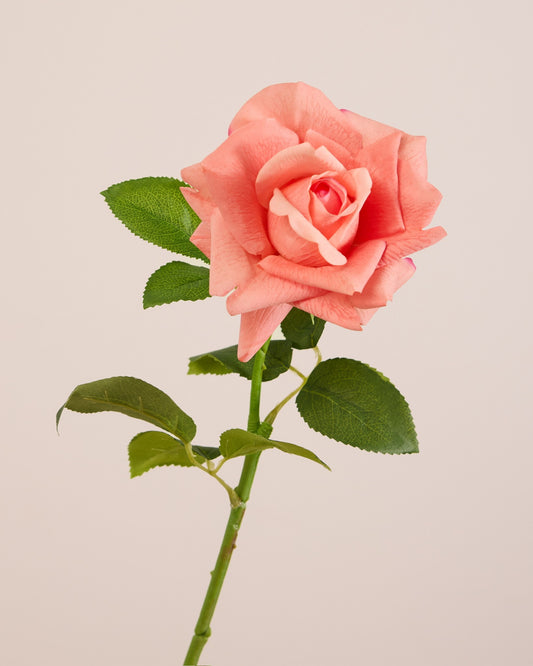 REAL TOUCH ROSE IN CANDY PINK