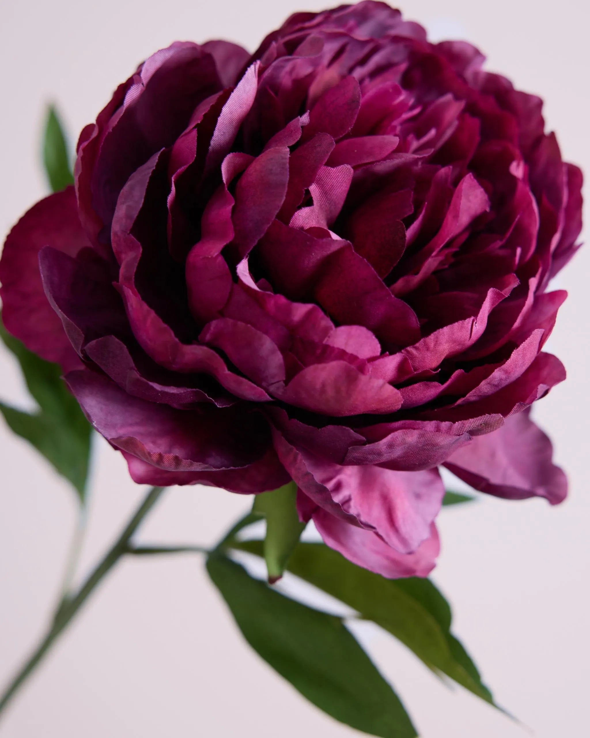 DEEP PURPLE SILK ROSE