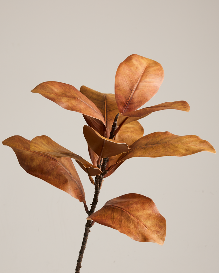 MAGNOLIA BRANCH IN GOLDEN BROWN